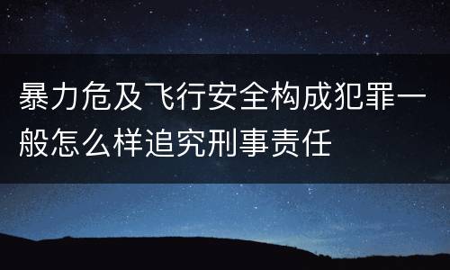 暴力危及飞行安全构成犯罪一般怎么样追究刑事责任