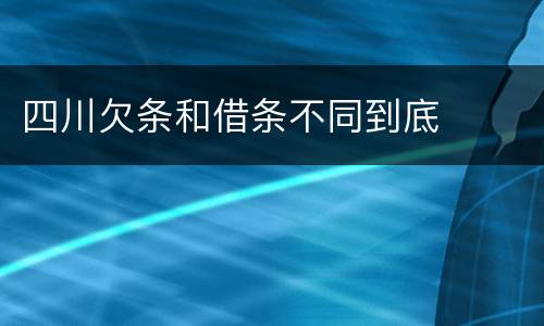 四川欠条和借条不同到底