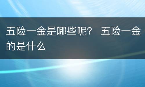 五险一金是哪些呢？ 五险一金的是什么