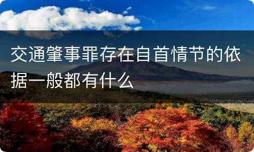 交通肇事罪存在自首情节的依据一般都有什么