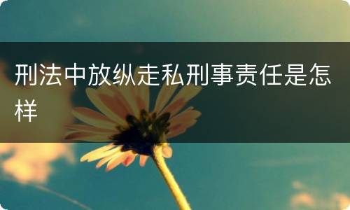 刑法中放纵走私刑事责任是怎样