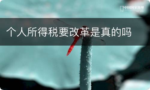 个人所得税要改革是真的吗