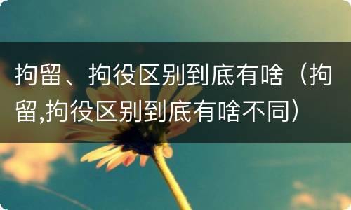 拘留、拘役区别到底有啥（拘留,拘役区别到底有啥不同）
