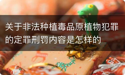 关于非法种植毒品原植物犯罪的定罪刑罚内容是怎样的