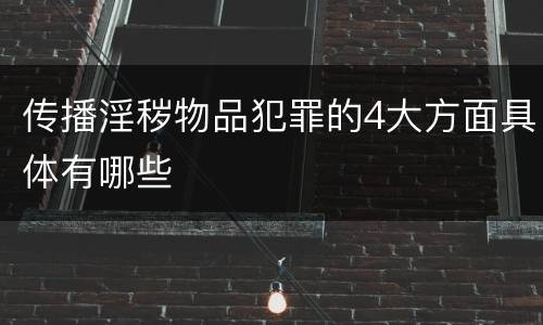 传播淫秽物品犯罪的4大方面具体有哪些
