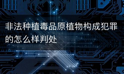 非法种植毒品原植物构成犯罪的怎么样判处