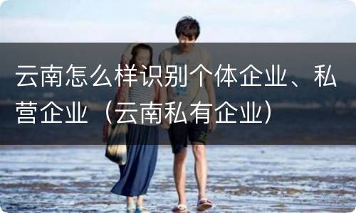 云南怎么样识别个体企业、私营企业（云南私有企业）