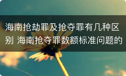 海南抢劫罪及抢夺罪有几种区别 海南抢夺罪数额标准问题的规定