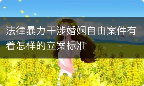 法律暴力干涉婚姻自由案件有着怎样的立案标准