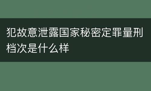 犯故意泄露国家秘密定罪量刑档次是什么样
