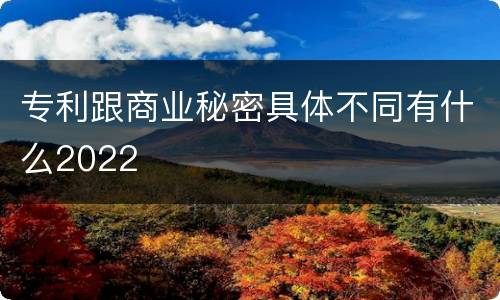 专利跟商业秘密具体不同有什么2022