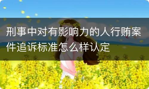 刑事中对有影响力的人行贿案件追诉标准怎么样认定