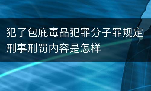 犯了包庇毒品犯罪分子罪规定刑事刑罚内容是怎样