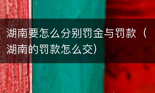 湖南要怎么分别罚金与罚款（湖南的罚款怎么交）