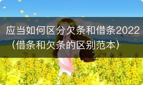 应当如何区分欠条和借条2022（借条和欠条的区别范本）