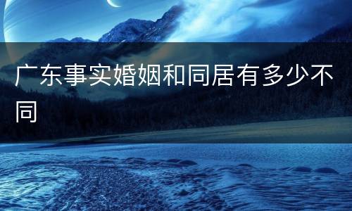 广东事实婚姻和同居有多少不同