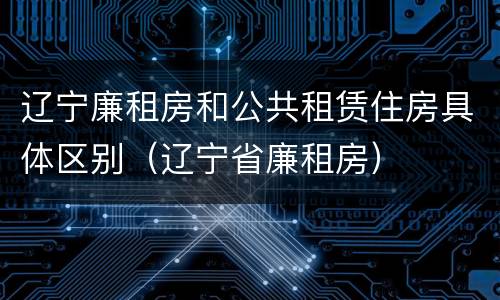 辽宁廉租房和公共租赁住房具体区别（辽宁省廉租房）