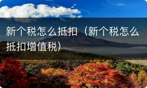 新个税怎么抵扣（新个税怎么抵扣增值税）