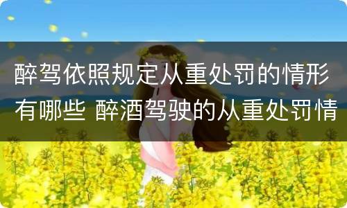 醉驾依照规定从重处罚的情形有哪些 醉酒驾驶的从重处罚情形