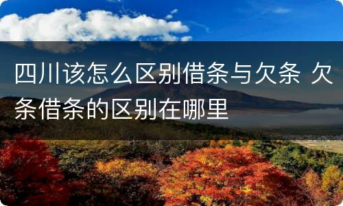 四川该怎么区别借条与欠条 欠条借条的区别在哪里