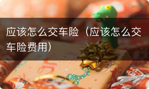 应该怎么交车险（应该怎么交车险费用）