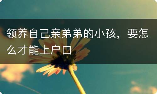 领养自己亲弟弟的小孩，要怎么才能上户口