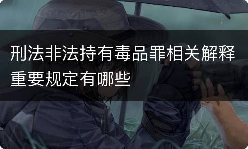 刑法非法持有毒品罪相关解释重要规定有哪些