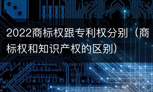2022商标权跟专利权分别（商标权和知识产权的区别）