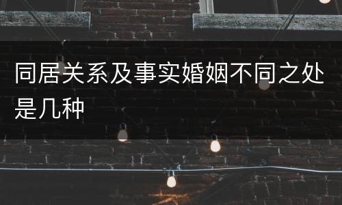同居关系及事实婚姻不同之处是几种