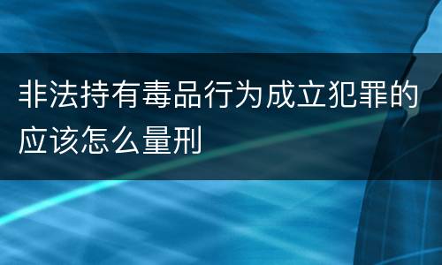 非法持有毒品行为成立犯罪的应该怎么量刑
