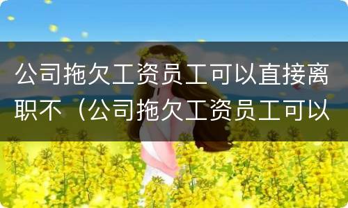 公司拖欠工资员工可以直接离职不（公司拖欠工资员工可以直接离职不赔偿吗）