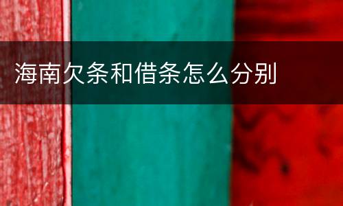 海南欠条和借条怎么分别
