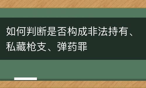 如何判断是否构成非法持有、私藏枪支、弹药罪