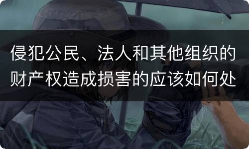 侵犯公民、法人和其他组织的财产权造成损害的应该如何处理