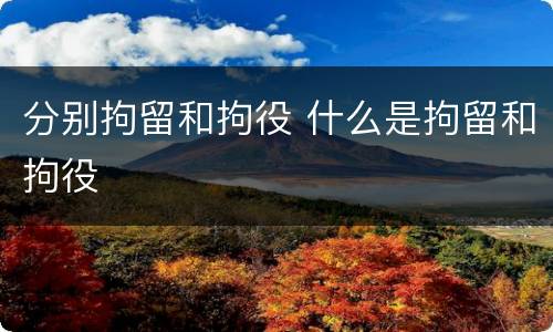 分别拘留和拘役 什么是拘留和拘役