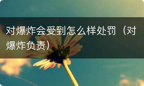 对爆炸会受到怎么样处罚（对爆炸负责）