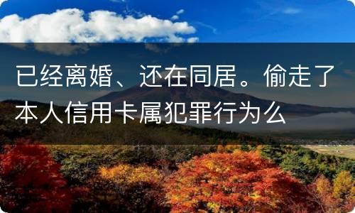 已经离婚、还在同居。偷走了本人信用卡属犯罪行为么