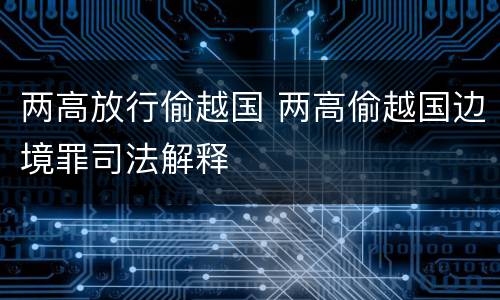 两高放行偷越国 两高偷越国边境罪司法解释