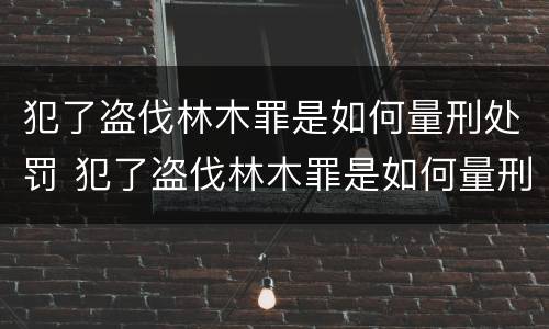 犯了盗伐林木罪是如何量刑处罚 犯了盗伐林木罪是如何量刑处罚的