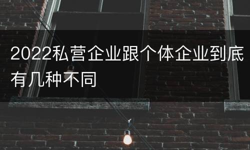 2022私营企业跟个体企业到底有几种不同