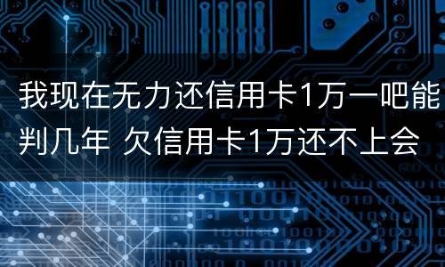 我现在无力还信用卡1万一吧能判几年 欠信用卡1万还不上会坐牢吗