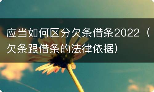 应当如何区分欠条借条2022（欠条跟借条的法律依据）