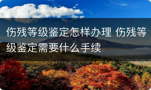 伤残等级鉴定怎样办理 伤残等级鉴定需要什么手续