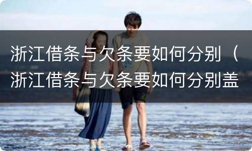 浙江借条与欠条要如何分别（浙江借条与欠条要如何分别盖章）
