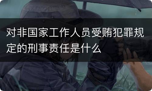 对非国家工作人员受贿犯罪规定的刑事责任是什么