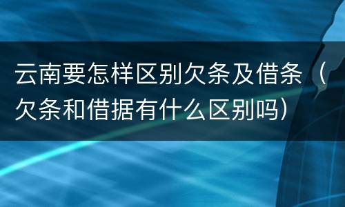 云南要怎样区别欠条及借条（欠条和借据有什么区别吗）