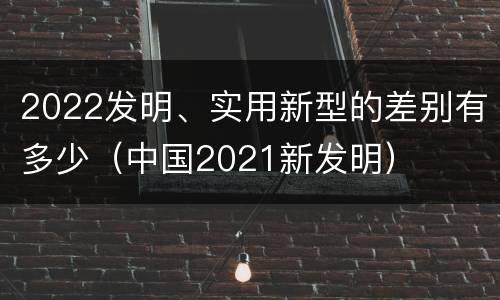 2022发明、实用新型的差别有多少（中国2021新发明）