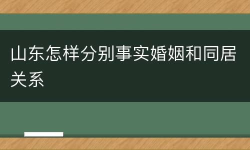 山东怎样分别事实婚姻和同居关系