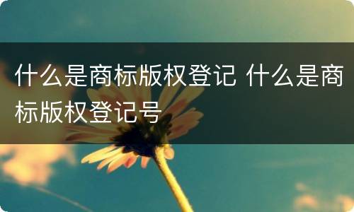什么是商标版权登记 什么是商标版权登记号