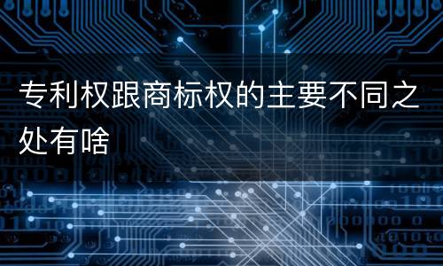 专利权跟商标权的主要不同之处有啥